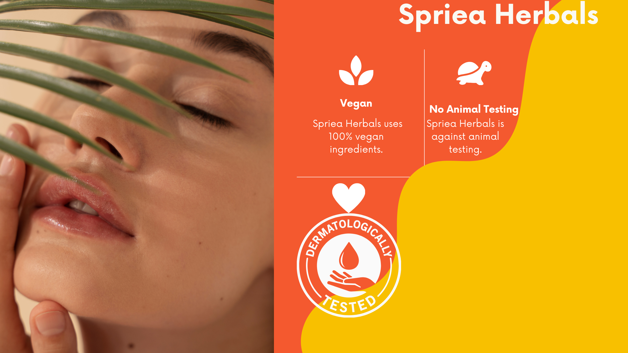 Spriea Herbals Fluid Sunscreen SPF 50PA ++++ vitamin C